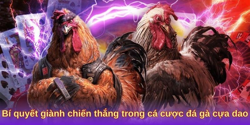 Bí quyết giành chiến thắng trong cá cược đá gà cựa dao