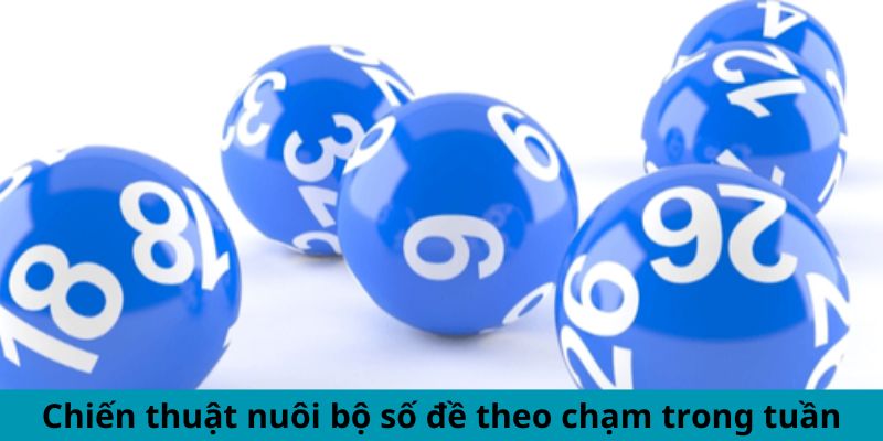 Chiến thuật nuôi bộ số đề theo chạm trong tuần