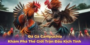 Đá Gà Campuchia – Khám Phá Thế Giới Trận Đấu Kịch Tính