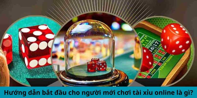 Hướng dẫn bắt đầu cho người mới chơi tài xỉu online là gì?