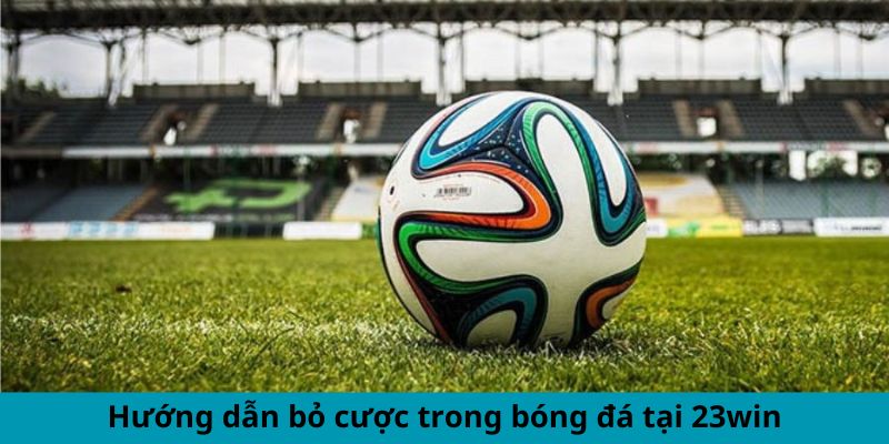 Hướng dẫn bỏ cược trong bóng đá tại 23win