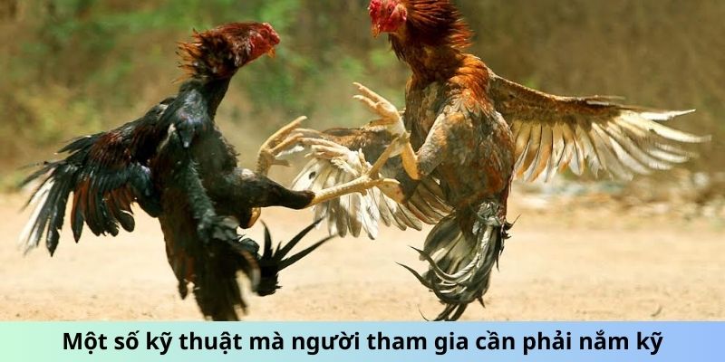 Một số kỹ thuật mà người tham gia cần phải nắm kỹ