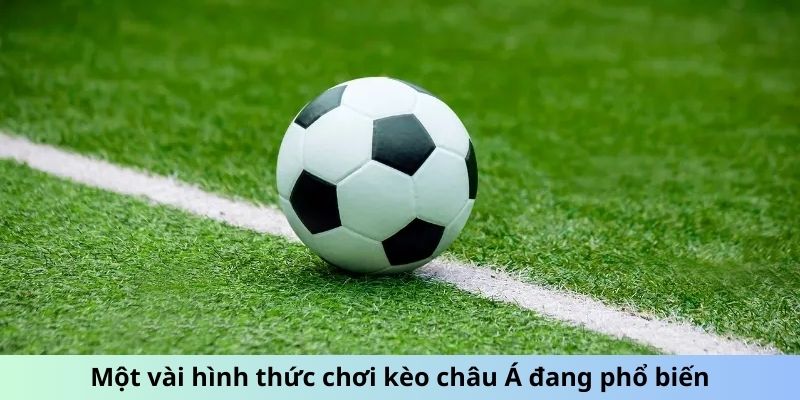 Chỉ dẫn hội viên cách đọc kèo châu Á dễ dàng