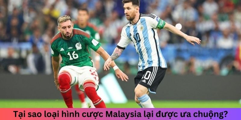 Tại sao loại hình cược Malaysia lại được ưa chuộng?