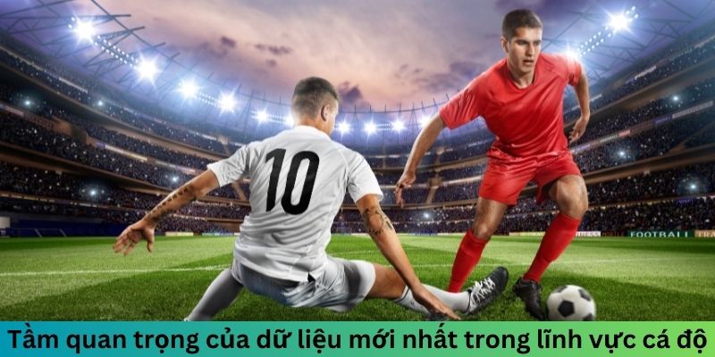 Tầm quan trọng của dữ liệu mới nhất trong lĩnh vực cá độ