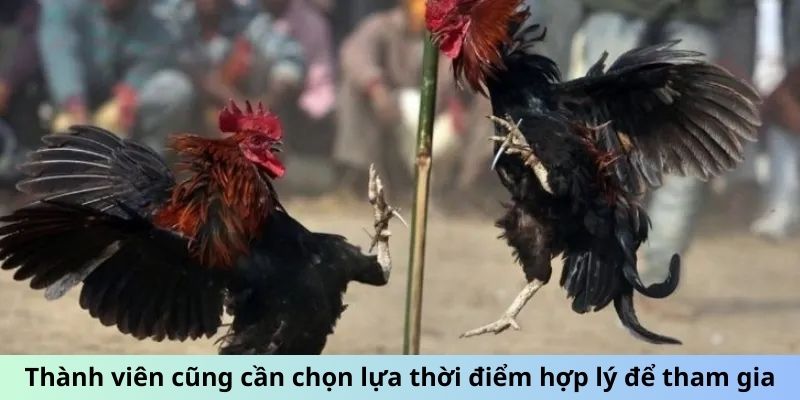 Thành viên cũng cần chọn lựa thời điểm hợp lý để tham gia