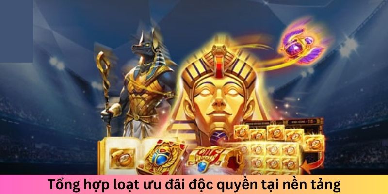 Tổng hợp loạt ưu đãi độc quyền tại nền tảng